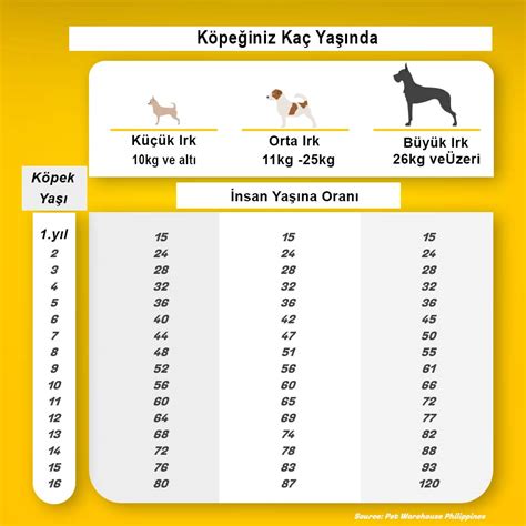 1 köpek yaşı kaç insan yaşı
